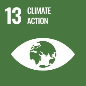 Sustainable Development Goal 13: Climate Action