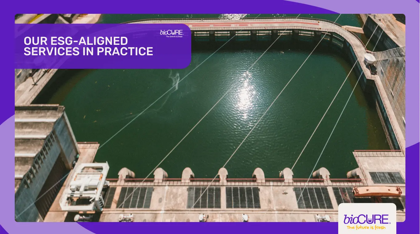 Why Compliance-Driven Service Delivery Is Your ESG Foundation